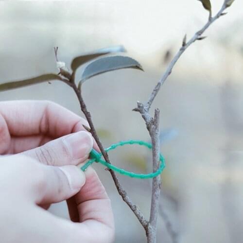 100PCS Tree Ties Adjustable Plant Ties Garden Ties Flexible Plant Cable Ties for Supporting Rose Shrub Plants