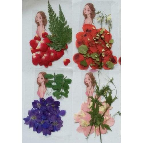 Pressed Dried Leaf Leaves+Flowers+Sticker Pretty Girl Skirt Dress For Phone Case Postcard Scrapbook Craft DIY Accessories
