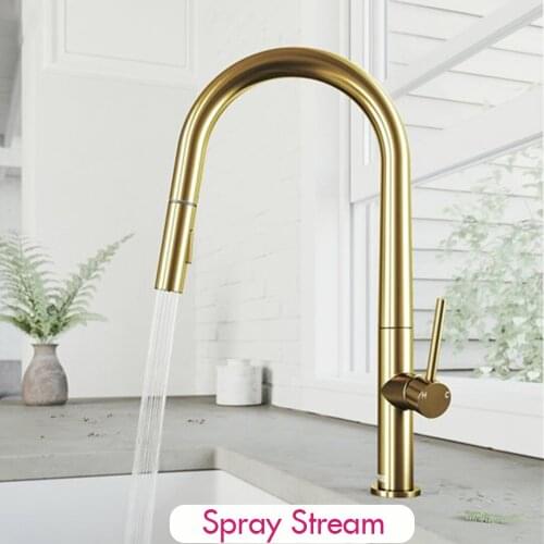 Pull Out Brass Washing Faucet Extendable Nozzle 2 In 1 Tap Gourmet Golden faucet torneiras de cozinha grifos de cocina