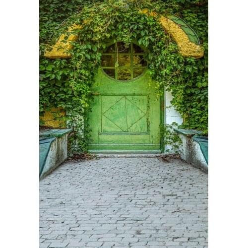 Model portrait photography backgrounds polyester green door retro photo backdrop for photographer studio props photophone S-3097