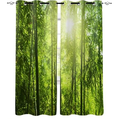 Green Bamboo Sun Plant Modern Curtains for Living Room Bedroom Kitchen Curtains Drapes Window Treatments