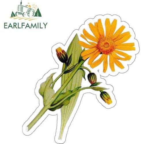 EARLFAMILY 13cm x 11.8cm For Arnica Montana Floral Humor Stickers Funny Decals Suitable For VAN SUV Decoration Vinyl Material