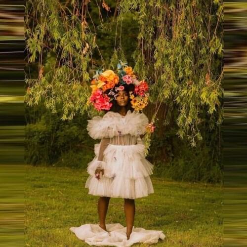 Cute Short Fluffy Tulle Dress For Birthday Party Formal Event Long Sleeves Ruffles Tiered Mini Length Tulle Gowns