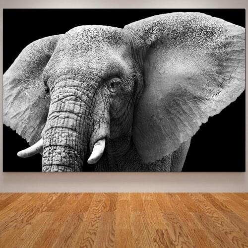 Elephant Poster Animals Print - Nordic Canvas Black and White Wall Art Pictures Living Room Elephant Decoration