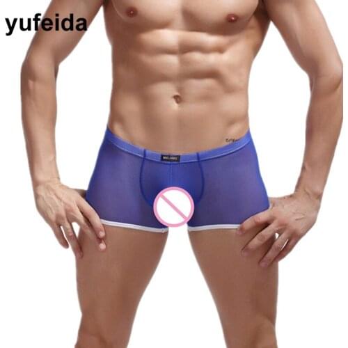 Sexy Men Underwear Boxers Transparent Mesh Boxer Shorts Trunks Pants U Convex Pouch Male Gay Sissy Panties Low Rise Underpants