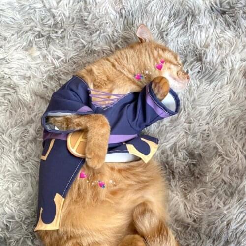 JoJos Bizarre Adventure Leone Abbacchio Cosplay Cartoon Cat Dog Clothes T Shirt Jacket Outwear Outfit Warm Pet Clothing Props