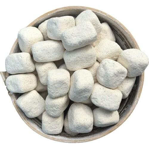 Probiotics Sweet Glutinous Rice Wine Leaven Fermentation Starter Koji Yeast Powder DIY Making Material Homemade