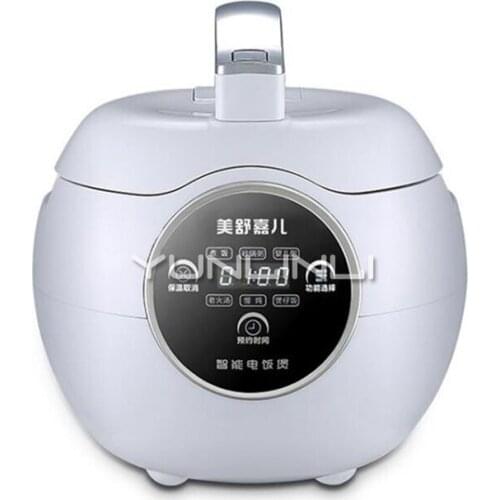 YUNLINLI Rice Cooker Kitchen 220V 500W Utensils Smart Home Electric Rice Steamer Heating Soup
