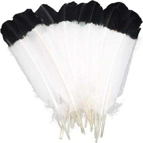 10Pcs Dyed Turkey Wing Quill Feathers for crafts diy white Black Tipped Imitation decoration needlework accessories pluma25-30cm
