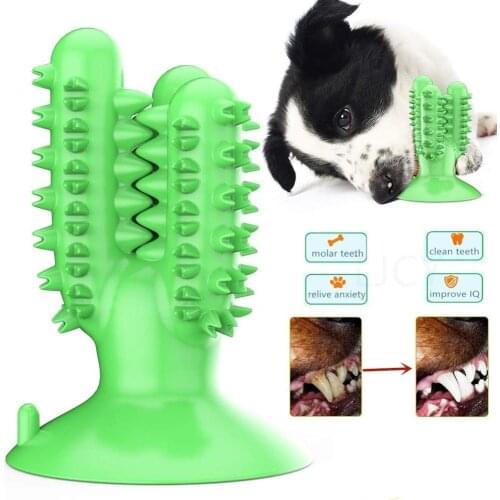 Dental Chew Toys for Dogs Healthy Fresh Puppy Teeth Cleaning Brush Cactus Large Breed Dog Molar Toothbrush Stick Pet Supplies