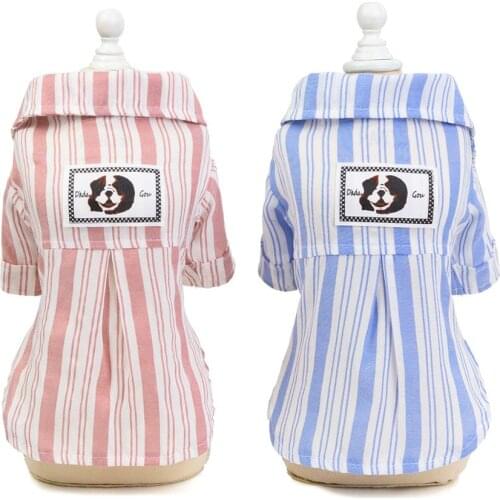 Brother Cat Dog Clothes And Footwear For Dogs
