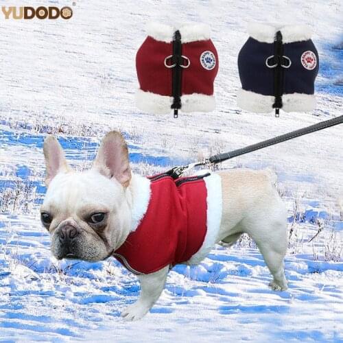 Winter Warm Dog Harness And Leash Set Fleece Soft Dog Vest Harnesses Teddy French Bulldog Cat Puppy Small Pet Clothes