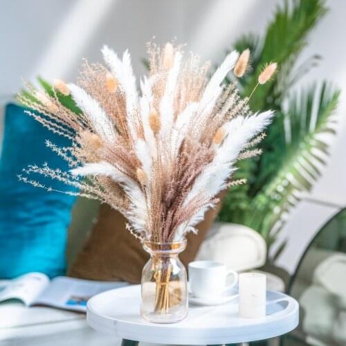 30pcs 35-40cm White Wedding Use Pampas Grass Bunch Natural Plants Christmas Decor Dried Flower Bouquet Home Room Decoration