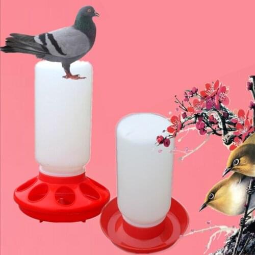 Chick Feeder and Waterer Combo 1 Quart Chicken Feeder & 1 Quart Chicken Waterer Birds Poultry Feeding Equipment Kit Red