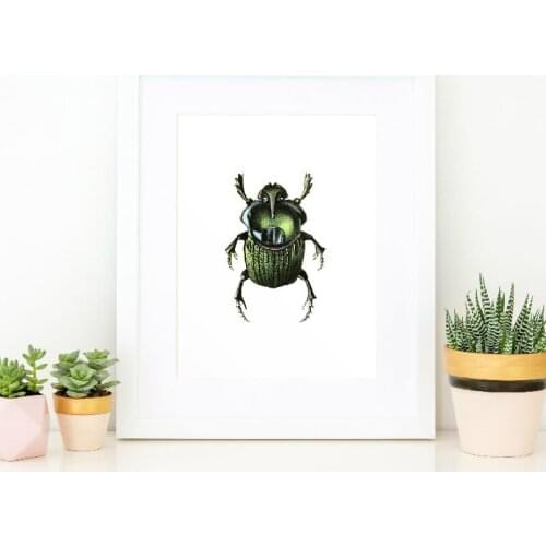 Green Beetle Print Canvas Painting Picture Insects Taxidermy Illustration Poster And Kids Room Home Wall Art Graffiti Decoration