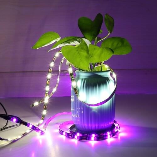 Camping Ambient Lights USB 5V 1M SMD2835 30Leds/m Blue Red Pink White Flexible Stripe for Traveling Decoration