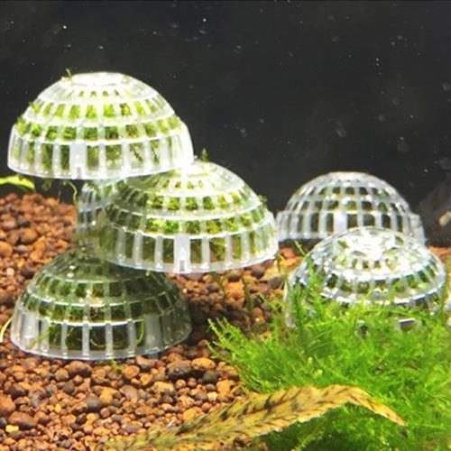 Aquarium accessories Aquarium Suspended Ball Submerged Ball Moss Ball Shrimp Nest Coral Beauty Anchovy Algae for aquarium