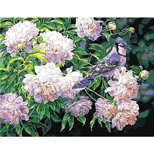 GATYZTORY Oil Picture By Numbers Kits White Flower Painting By Number Handpainted On Canvas Home Decoration Unique Gift