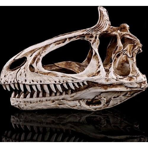 Resin Dinosaur Skull Skeleton Head Figurine Sculpture Cryolophosaurus Craft Statues Model Halloween Home Dinosaur Ornament Gift