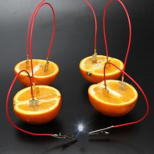 Fruit Battery Light Diode Generator Physics Science Experiment Kit Student Education Toy