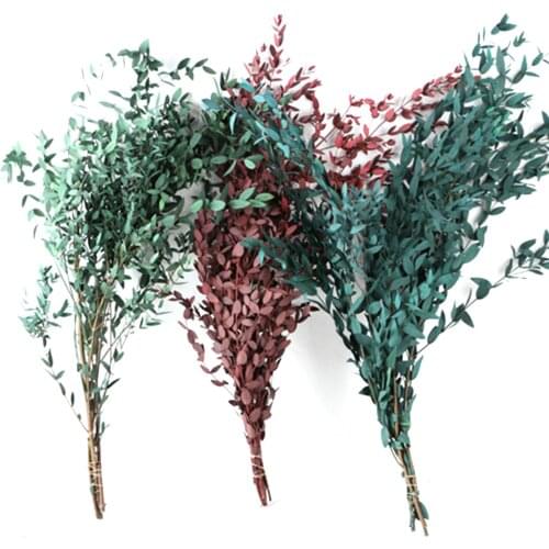 Eucalyptus Leaves Dried Flower Bouquet Eternal Flowe Natural Dried Bouquet For Wedding Home Decor