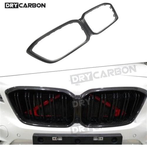 Dry Carbon Radiator Grilles
