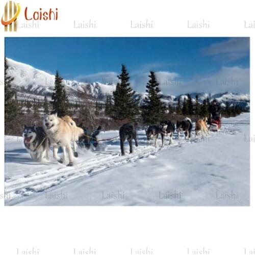 Diamond Painting Alaska Husky Dog Sled Race Full Drill Square Diamond Embroidery mosaic Rhinestones New Arrival Handmade Gift