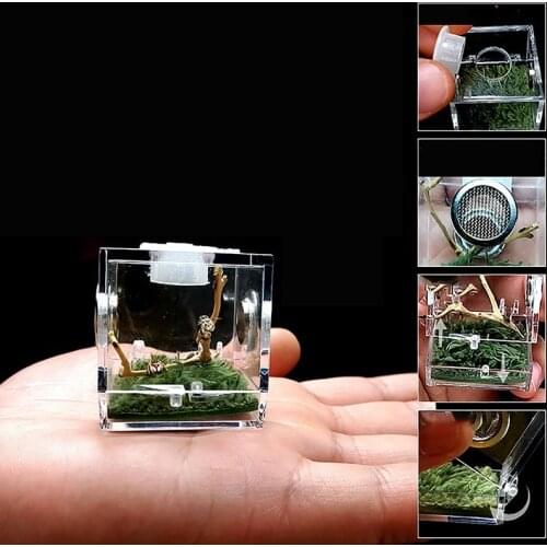 1pc Black Widow Spider Small Insect Terrarium Transparent Reptile Breeding Box Assembly insect breeding box Pet Product Supplies