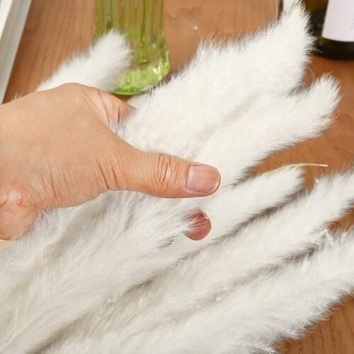 15Pcs Small Pampas Grass Dried Flowers Decor Wedding Flowers Bunch Natural Plants for Home Decore Pampas Phragmites Fake Plants