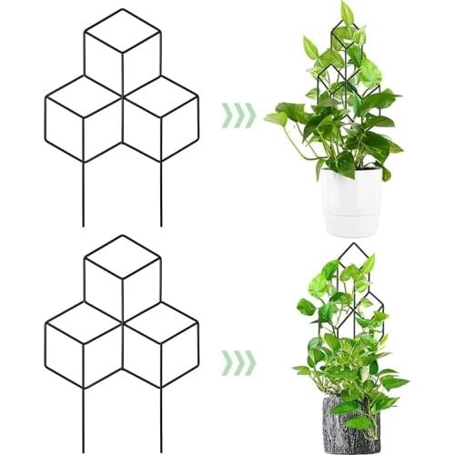 Climbing Vine Rack Plant Potted Support Frame Steel Flower Vegetables Decorative Trellis Bracket Home Garden Ship