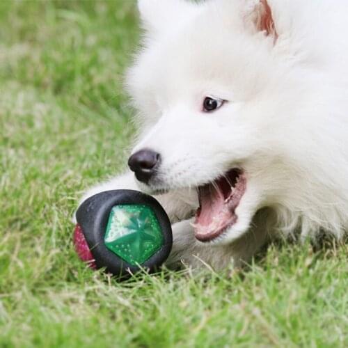 New Pet Dog Toy Interactive Elasticity Rubber Ball Pet Dog Grinding Teeth Training Luminous with The Sound Ball Pet Chew Toys