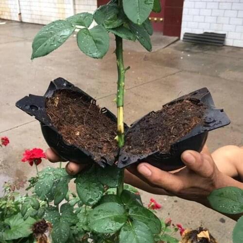 1 PCS Plant High-Pressure Breeding Box Indoor Sapling Breeding Equipment Plant Growth Bride Grafting Box Cultivation Forest