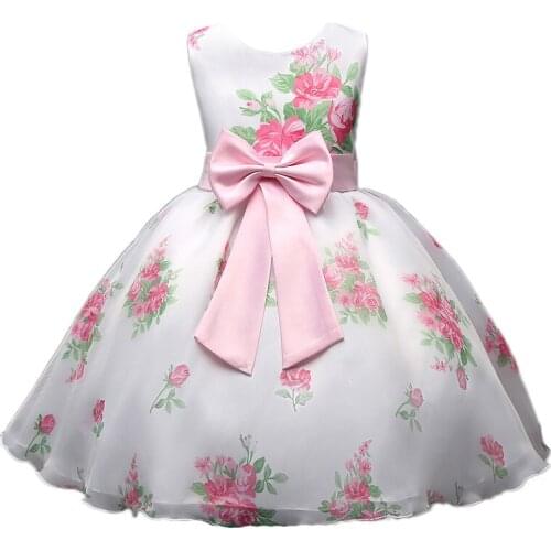 Spring Princess Dresses for Girls Pink Rose Ball Gowns Flower Wedding Floral Print dress baby Ropa de ninas vestidos princesa