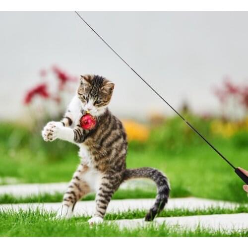 Cat Teaser Wands Interactive Retractable Fishing Pole Wand Cat Catcher Teaser Stick Rod Toy Great for Kitten Training Exercisin