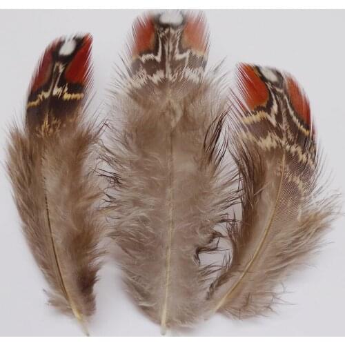 100Pcs 4-9cm Natural Pheasant Chicken Feathers For DIY Crafts Clothing Jewelry Headwear Christmas Holiday Hat Decoration Plumes