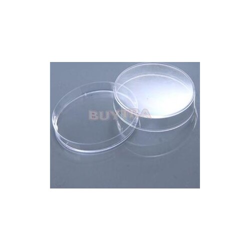 Clear 10pcs Plastic Petri Dishes Affordable Sterile Petri Dishes w/Lids for Lab Plate Bacterial Yeast 55mm x 15mm