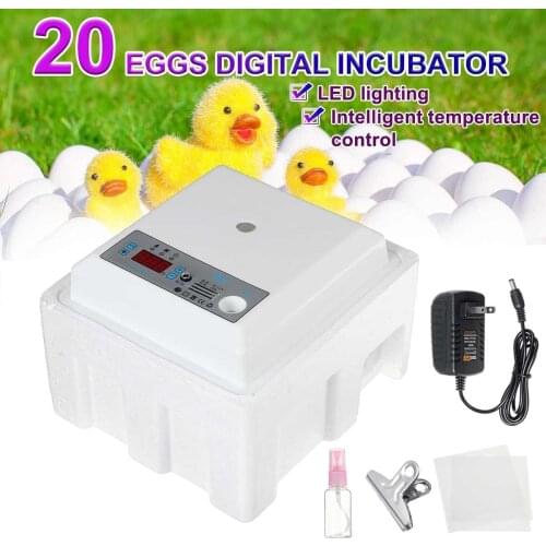 Digital Incubation Box Egg Incubator Automatic Suitable for Hatching Snake Lizards Reptiles Breeding Box