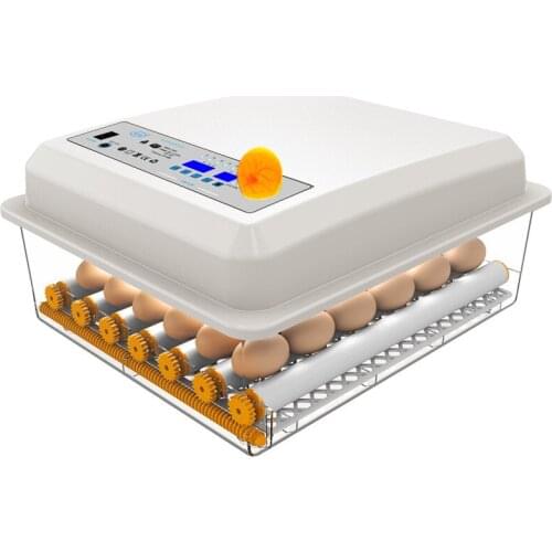 Incubator Egg Incubator Fully Automatic Incubator Household Brooder Farm Chicken Incubator Bird Egg Incubator 6-16 Eggs