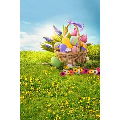 Easter Eggs Backdrop Grassland Colourful Eggs Basket Blue Sky Children Backgrounds for Photo Studio Props Real Nature Background
