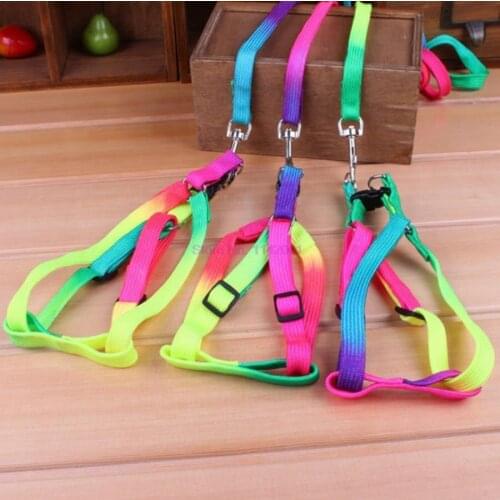 200pcs Colorful Rainbow Pet Dog Collar Harness Leash Soft Walking Harness Lead Colorful and Durable Traction Rope Nylon