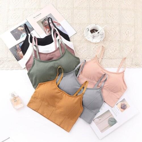 Hot Sell Popular Seamless Threaded Back Wrap Bra Adjustable Shoulder Strap and Gathered Bra Pad Sports Bra Breathable Bra