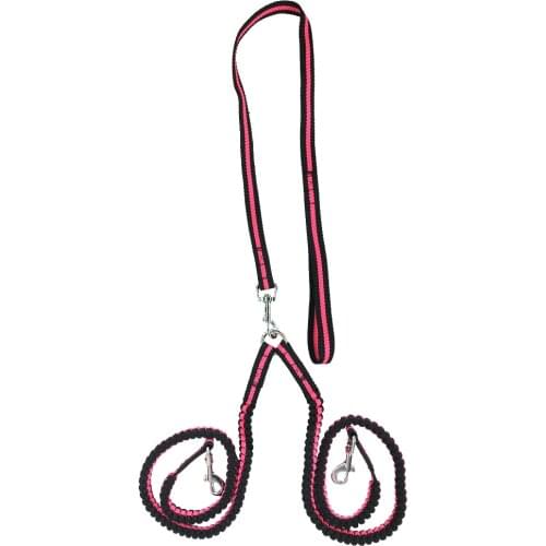 Nylon Double Coupler Dog Leash Dual No-Tangle Pet Bungee Leads For 2 Dogs