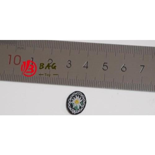 1/6 of the Action Figures model DID 3R DML WWII the German army wehrmacht SS Edelweiss rank