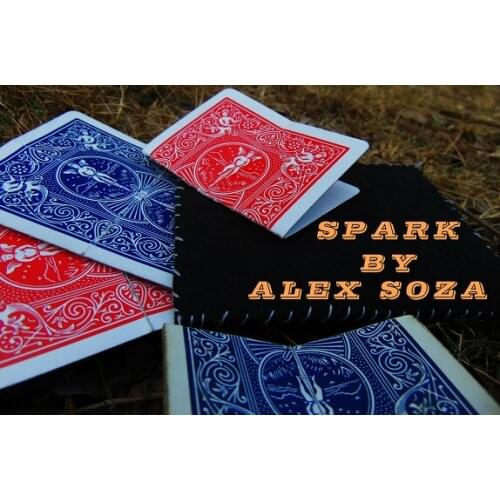 2021 Spark by Alex Soza