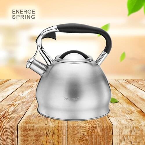 3L Whistle Kettle Thicken 304 Stainless Steel Beep Boil Water Pot For Induction Cooker High Capacity Boiling Teapot