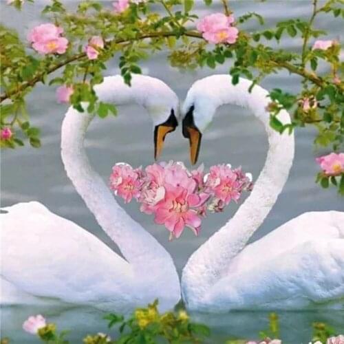 5d Diamant Schilderij Nieuwkomers Zwaan Kits Diamant Moza ï ek Kruissteek Dier Borduurwerk Woondecoratie