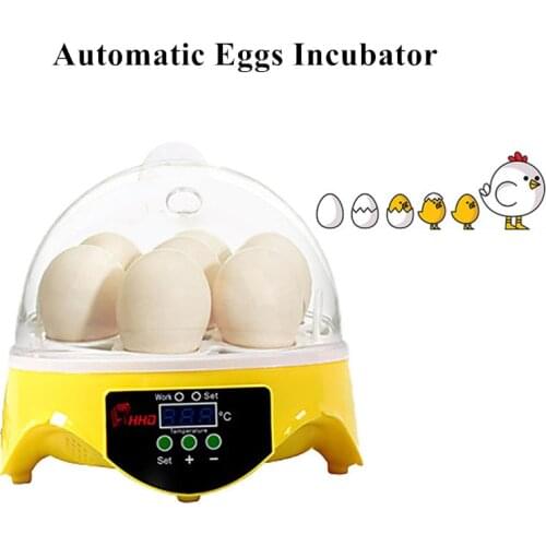 Eggs Incubator Automatic Mini Incubation Equipment Farm 7 Eggs Household Teaching Experiments Yellow