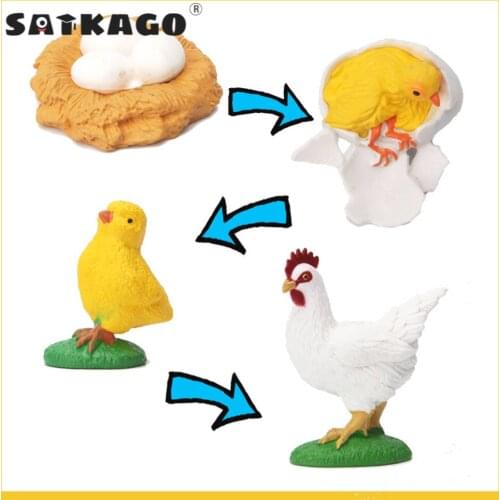 Simulation Hen model Figures the Life Cycle Figures of a Chicken Includes Eggs Hatchling Chick Mature Chicken Educational toys