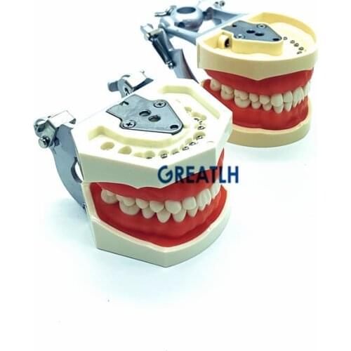 Dental Standard Practise Teeth Model Removable Teeth with Screw practise teeth replacement nissin