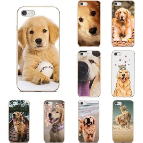 For Samsung Galaxy A10 A30 A40 A50 A70 M30 J3 J5 J7 2015 2016 2017 Europe Popular Golden Retriever Dog Transparent Soft Bag Case